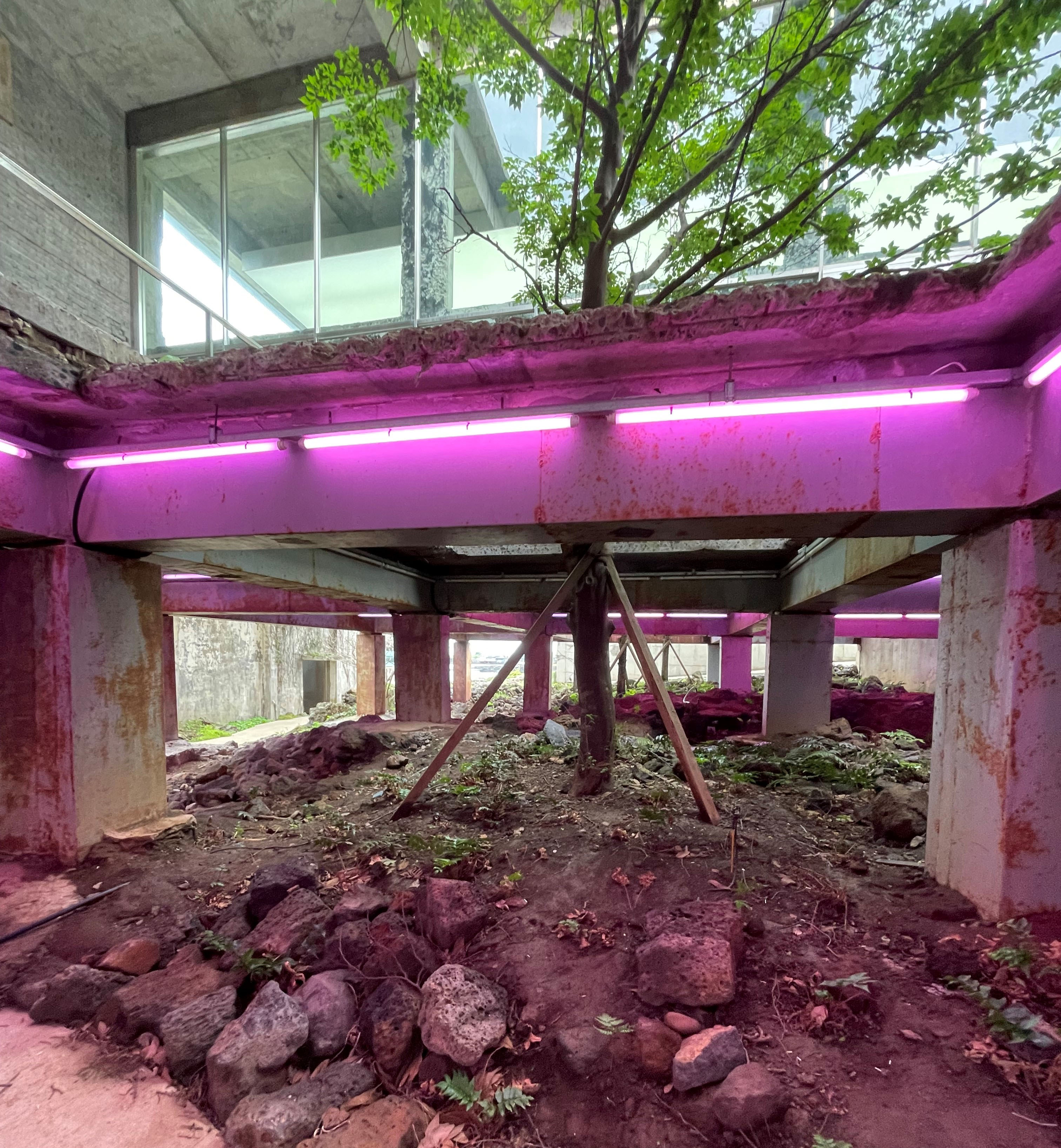/user/h/holimdesign/editor/2302/2cbce52ec6267abac15da25759141245_1676009470_6424.JPG 이미지크게보기